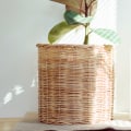 What Kind of Air Filter Should I Use?